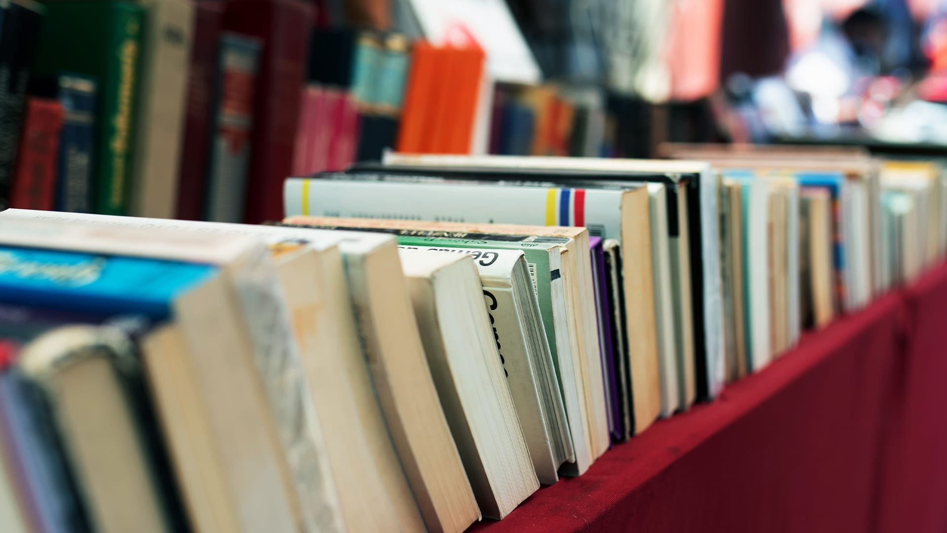 Independent author and speaker case study